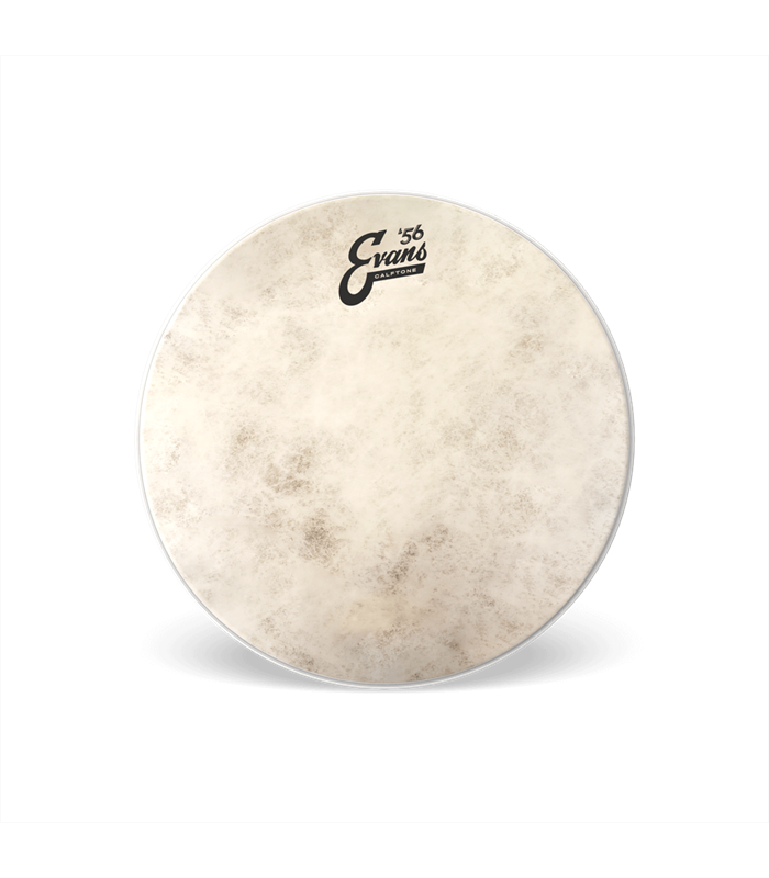 EVANS TT18C7 18" CALFTONE PLASTIKA