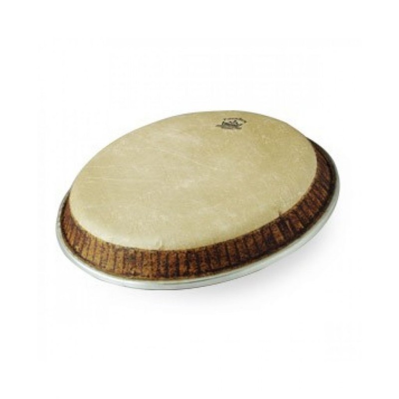 REMO M4-1075-LP conga PLASTIKA B-STOCK