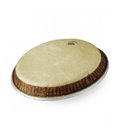 REMO M4-1075-LP conga PLASTIKA B-STOCK