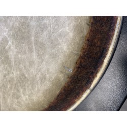 REMO M4-1075-LP conga PLASTIKA B-STOCK
