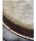 REMO M4-1075-LP conga PLASTIKA B-STOCK