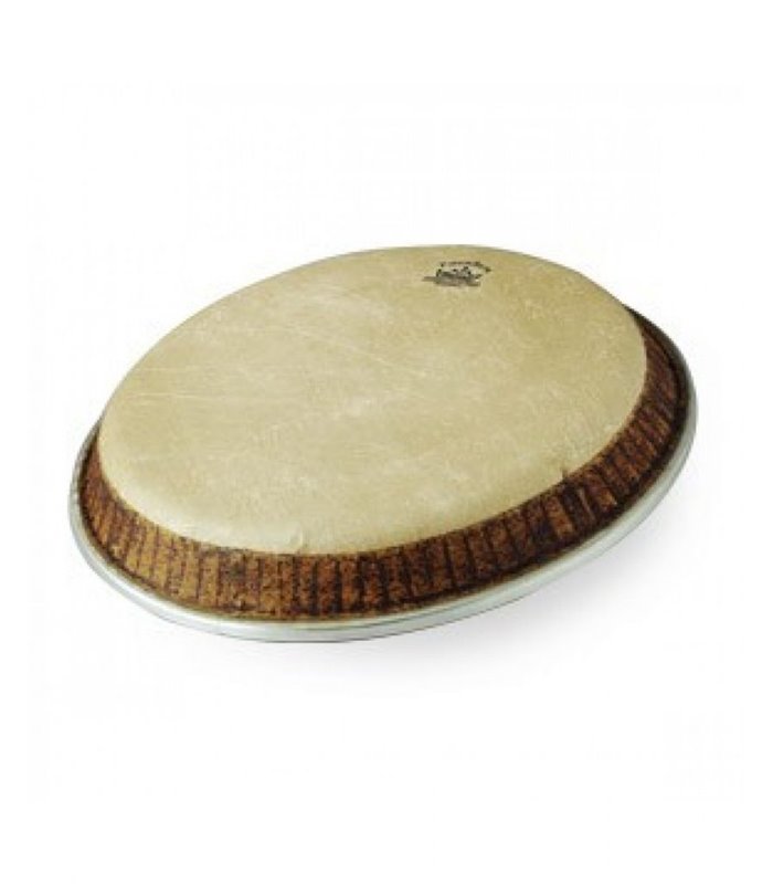 REMO M4-1225-LP conga PLASTIKA B-STOCK