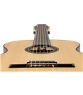 ORTEGA THE PRIVATE ROOM GRANDSUITE 4/4 GITARA KLASIČNA