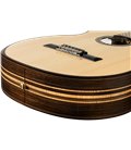 ORTEGA THE PRIVATE ROOM GRANDSUITE 4/4 GITARA KLASIČNA