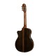 ORTEGA GRANDSUITE CE s navlakom GITARA ELEKTRO-KLASIČNA