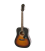 EPIPHONE DR-100 SONGMAKER VS GITARA AKUSTIČNA