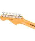 FENDER AMERICAN PRO CLASSIC STRATOCASTER RW FBLK GITARA ELEKTRIČNA