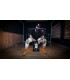 MEINL ARTISAN EDITION EL ESTEPARIO SIBERIANO LIMITED EDITION CAJON