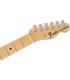 FENDER LTD TELECASTER MN BLACK PAISLEY JP-25 JAPAN GITARA ELEKTRIČNA