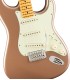FENDER AMERICAN PRO CLASSIC STRATOCASTER MN FFMG GITARA ELEKTRIČNA