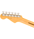 FENDER AMERICAN PRO CLASSIC STRATOCASTER MN FFMG GITARA ELEKTRIČNA