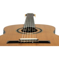 ORTEGA RE159RWSN SOLID CD / ROSEWOOD GITARA ELEKTRO-KLASIČNA