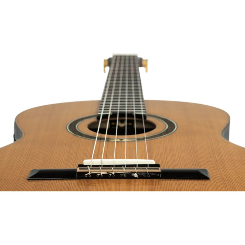 ORTEGA RE159RWSN SOLID CD / ROSEWOOD GITARA ELEKTRO-KLASIČNA
