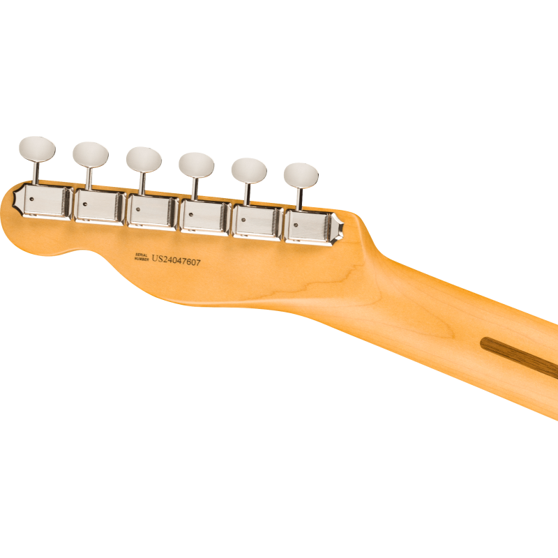 FENDER AMERICAN PRO CLASSIC TELECASTER RW FBLK GITARA ELEKTRIČNA