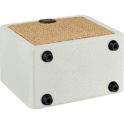 ORTEGA PTWO ACOUSTIC 12W white edition POJAČALO