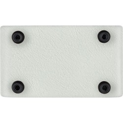 ORTEGA PTWO ACOUSTIC 12W white edition POJAČALO
