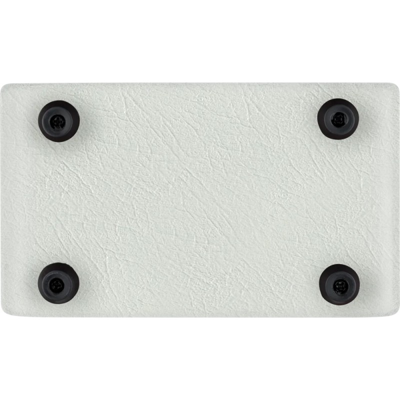 ORTEGA PTWO ACOUSTIC 12W white edition POJAČALO