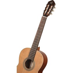 ORTEGA R18S TRADITIONAL SERIES 4/4 + torba GITARA KLASIČNA