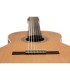 ORTEGA R18S TRADITIONAL SERIES 4/4 + torba GITARA KLASIČNA