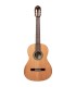 ORTEGA R19G TRADITIONAL SERIES 4/4 + torba GITARA KLASIČNA