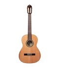 ORTEGA R19G TRADITIONAL SERIES 4/4 + torba GITARA KLASIČNA