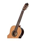 ORTEGA R19G TRADITIONAL SERIES 4/4 + torba GITARA KLASIČNA