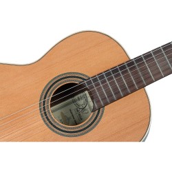 ORTEGA R19G TRADITIONAL SERIES 4/4 + torba GITARA KLASIČNA