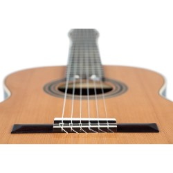 ORTEGA R19G TRADITIONAL SERIES 4/4 + torba GITARA KLASIČNA