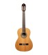 ORTEGA R20GWN TRADITIONAL SERIES 4/4 GITARA KLASIČNA