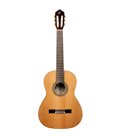 ORTEGA R20GWN TRADITIONAL SERIES 4/4 GITARA KLASIČNA