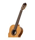 ORTEGA R20GWN TRADITIONAL SERIES 4/4 GITARA KLASIČNA