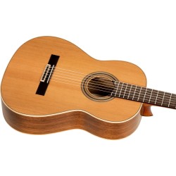 ORTEGA R20GWN TRADITIONAL SERIES 4/4 GITARA KLASIČNA