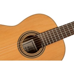 ORTEGA R20GWN TRADITIONAL SERIES 4/4 GITARA KLASIČNA