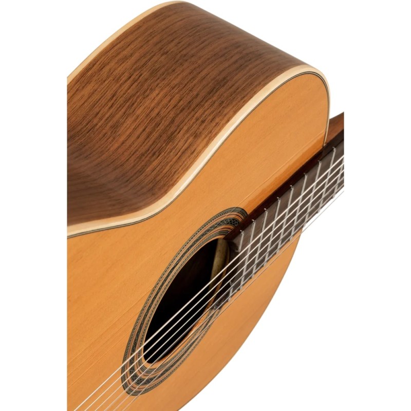 ORTEGA R20GWN TRADITIONAL SERIES 4/4 GITARA KLASIČNA