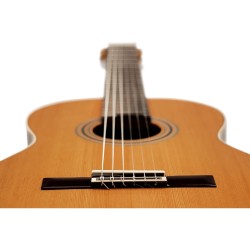 ORTEGA R20GWN TRADITIONAL SERIES 4/4 GITARA KLASIČNA