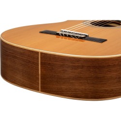 ORTEGA R20GWN TRADITIONAL SERIES 4/4 GITARA KLASIČNA