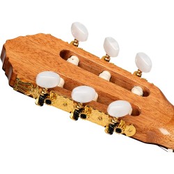 ORTEGA R20GWN TRADITIONAL SERIES 4/4 GITARA KLASIČNA