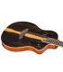 ORTEGA RTP-LTD + torba TOURPLAYER DELUXE Limited Edition GITARA ELEKTRO-KLASIČNA