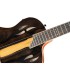 ORTEGA RTP-LTD + torba TOURPLAYER DELUXE Limited Edition GITARA ELEKTRO-KLASIČNA
