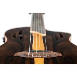 ORTEGA RTP-LTD + torba TOURPLAYER DELUXE Limited Edition GITARA ELEKTRO-KLASIČNA