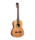 ORTEGA R18G TRADITIONAL SERIES 4/4 GITARA KLASIČNA
