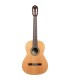 ORTEGA R18G TRADITIONAL SERIES 4/4 GITARA KLASIČNA
