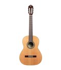 ORTEGA R18G TRADITIONAL SERIES 4/4 GITARA KLASIČNA