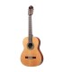ORTEGA R18G TRADITIONAL SERIES 4/4 GITARA KLASIČNA