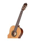 ORTEGA R18G TRADITIONAL SERIES 4/4 GITARA KLASIČNA