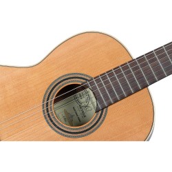 ORTEGA R18G TRADITIONAL SERIES 4/4 GITARA KLASIČNA