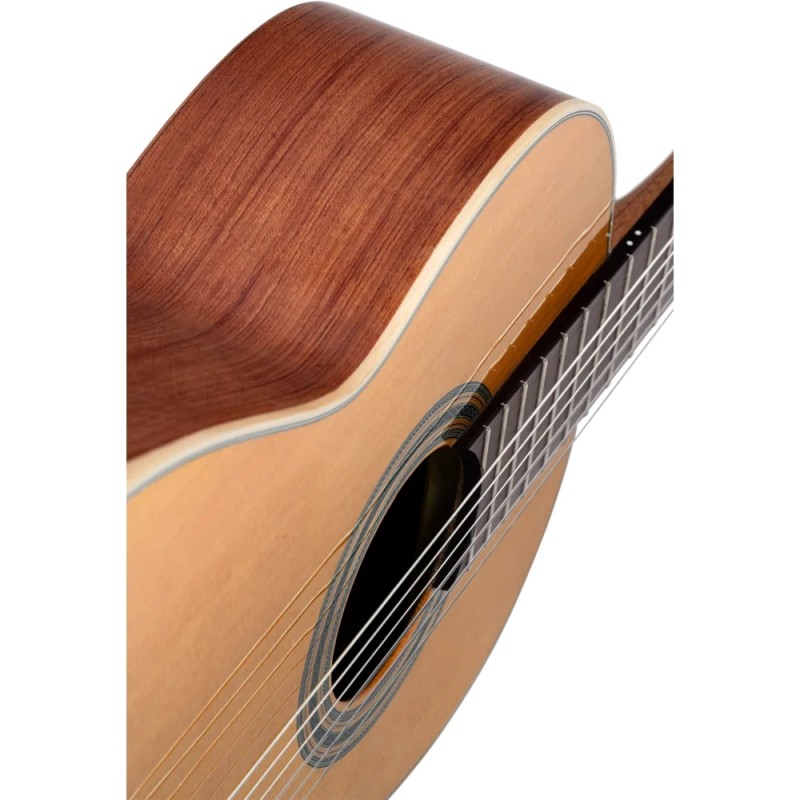 ORTEGA R18G TRADITIONAL SERIES 4/4 GITARA KLASIČNA