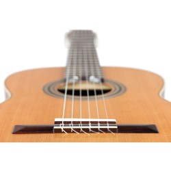ORTEGA R18G TRADITIONAL SERIES 4/4 GITARA KLASIČNA