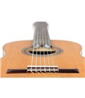 ORTEGA R18G TRADITIONAL SERIES 4/4 GITARA KLASIČNA