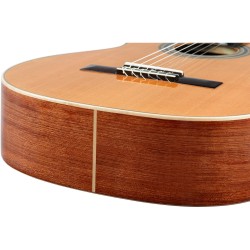 ORTEGA R18G TRADITIONAL SERIES 4/4 GITARA KLASIČNA